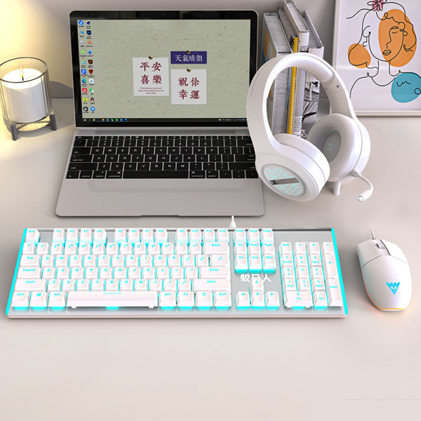 Wrangler K100 mechanical keyboard blue and white double spell 43