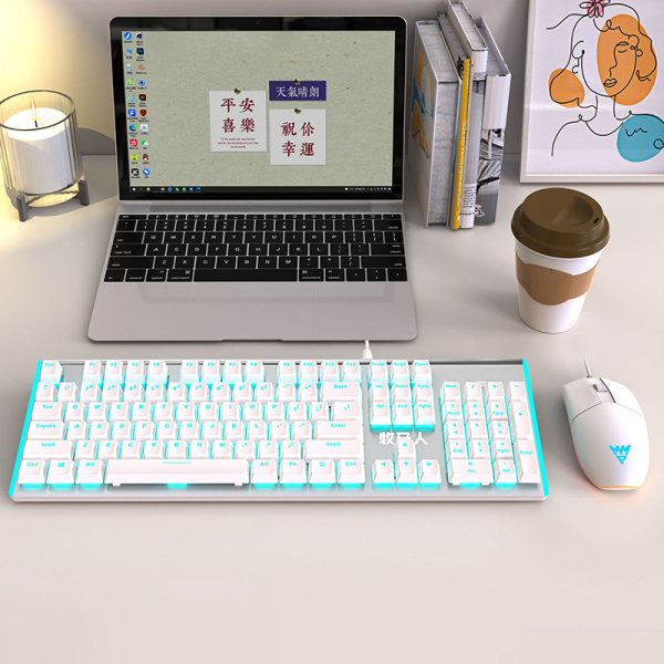 Wrangler K100 mechanical keyboard blue and white double spell 43