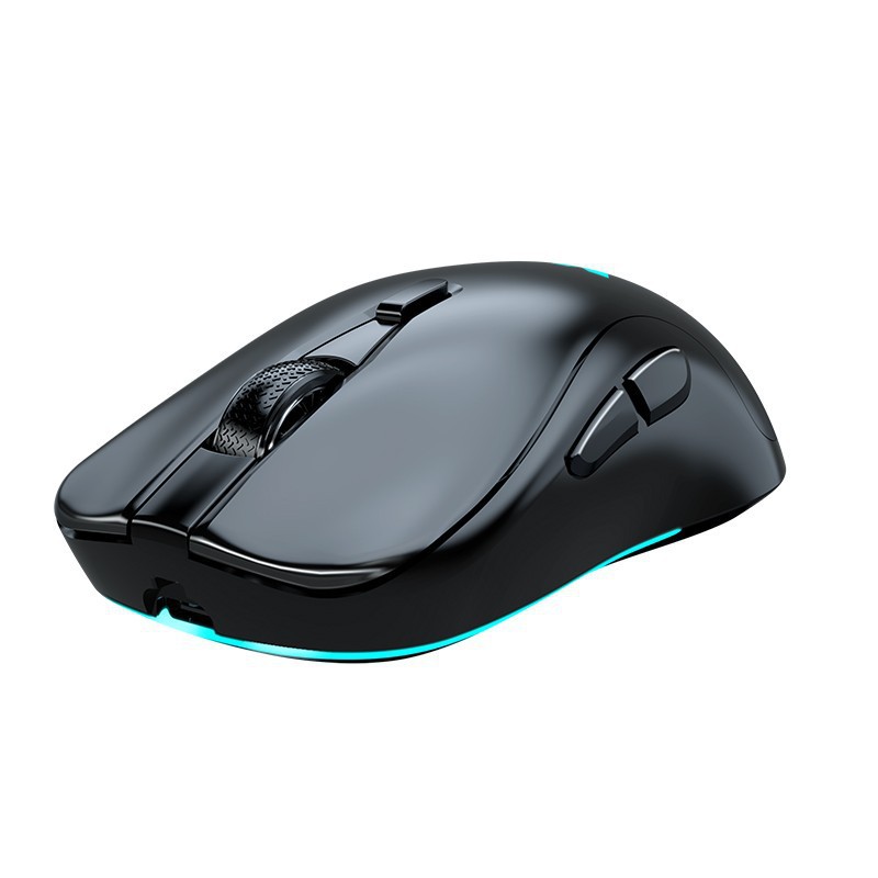 Wrangler M6 Wireless Dual Mode Gaming Mouse 79